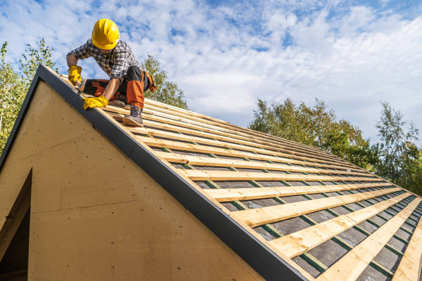Roof Gutter Cleaning in Pheasant Run, OH